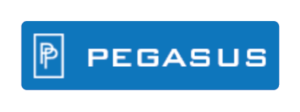 Link to pegasus-products.com